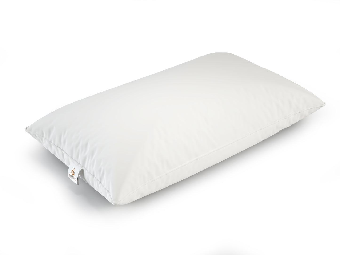 The Sleep System