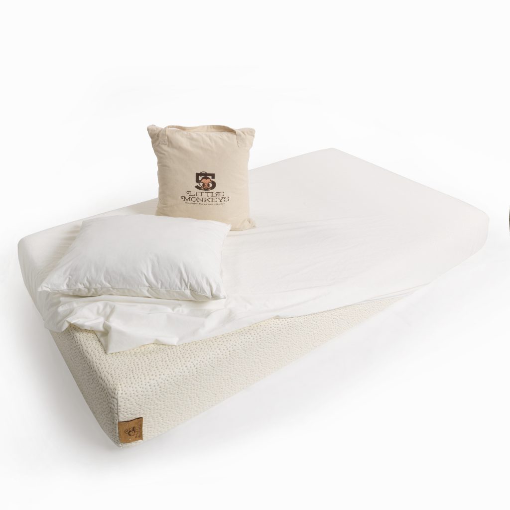 The Sleep System