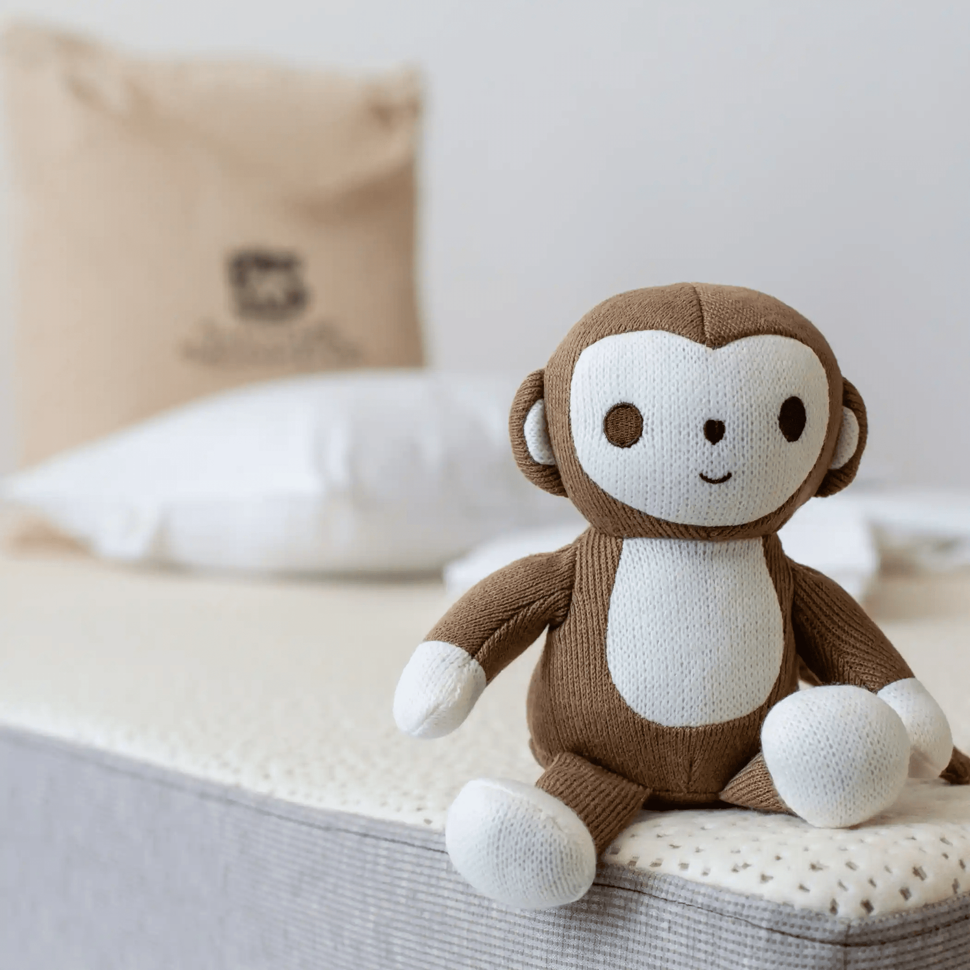 A Monkey Toy: Fun and Educational Playtime Essential