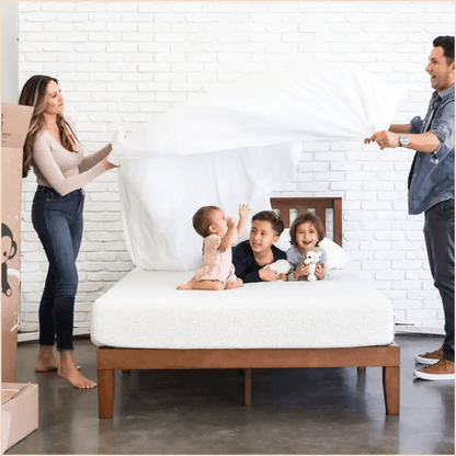 Organic Cotton Sheets - oc-4